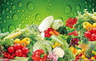 上海至濮阳恒温物流首选 井荣物流，专业花卉运输解决方案