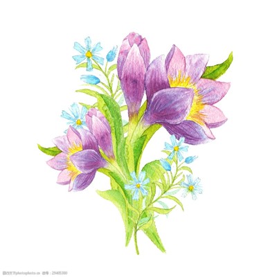 手绘花卉设计装饰素材 自然之美在指尖绽放