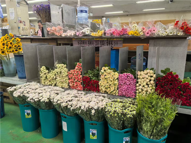 科技创新赋能云花 呈贡区打造花卉产业新高地