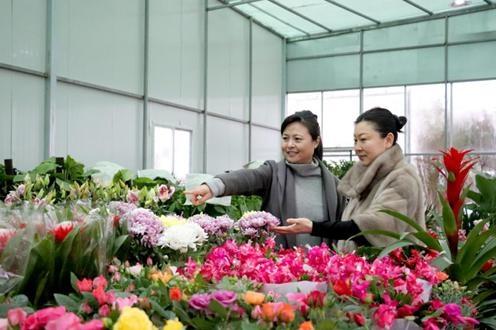 遂宁花卉交易市场盛大开业 花香溢城，美好生活新起点